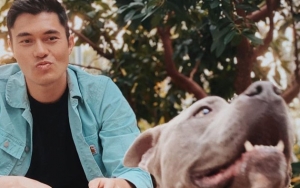 Henry Golding's Foster Pit Bull Attacks Smaller Dog in the Park