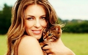 Elizabeth Hurley Praises 'Beastly' Cat for Killing Rabbit to Save Her Lettuce