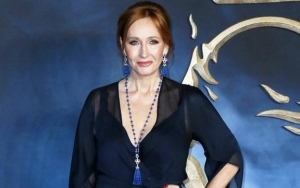 J.K. Rowling Came Up With Harry Potter Story While on Train