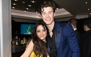 Camila Cabello and Shawn Mendes Join Black Lives Matter Demonstrators on Miami Streets 