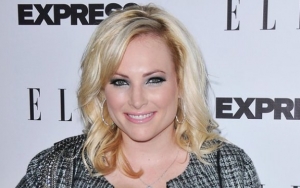 Meghan McCain Faces Backlash After Claiming That Protesters Destroy Her Neighborhood