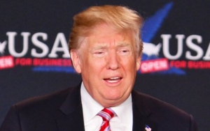Donald Trump Roasted for Having Twitter Meltdown After Losing to Joe Biden in CNN Poll