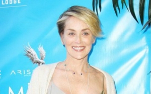 Sharon Stone Recalls Being Thrown Across Kitchen When Lightning Struck Her