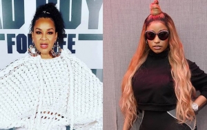 LisaRaye McCoy on Nicki Minaj's Alleged Shade on 'TROLLZ': 'I Don't Have Time to Be Fighting'