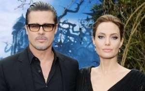 Angelina Jolie Divorced Brad Pitt for 'Well-Being' of Her Children