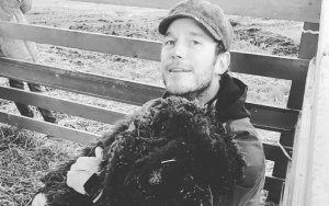 Chris Pratt Saddened by Death of Prince Rupert the Ram