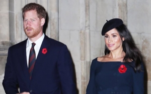 Prince Harry and Meghan Markle Come Triumphant in Trademarking Archewell Foundation