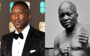 Mahershala Ali Lands Lead Role in HBO Series About Boxing Legend Jack Johnson