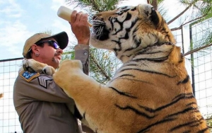 'Surviving Joe Exotic' to Make Small Screen Debut on Animal Planet