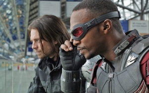 'Falcon and Winter Soldier' TV Show Pushed Back Indefinitely Amid Pandemic