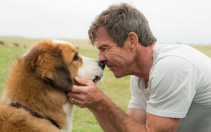 Dennis Quaid Insists Alleged Animal Abuse in His Movie 'A Dog's Purpose' Never Happened
