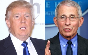 Donald Trump Laments Dr. Fauci's Higher Approval Rating Than Him: 'It Sort of Is Curious'