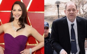 Ashley Judd's Sexual Harassment Lawsuit Against Harvey Weinstein Gets Revived by Appeals Court