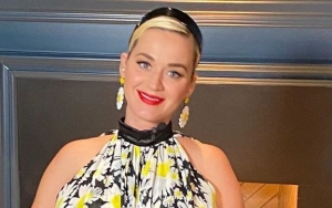 Katy Perry Treats Fans to a 'Babycat Room' Tour