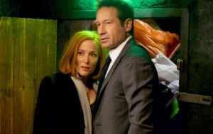 David Duchovny and Gillian Anderson Reunite to Do 'X-Files' Theme Song Remix for Charity 