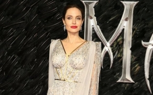 Judge Promises to Remain Impartial as Angelina Jolie Asks Him to Be Removed From Divorce Case