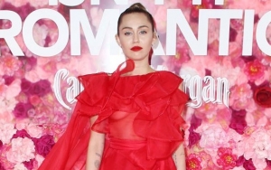 Miley Cyrus Adopts Homeless Dog Seeking Shelter in Fire Station
