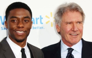 Harrison Ford Remembers Late Chadwick Boseman as 'Compelling, Powerful and Truthful'