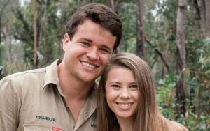 Bindi Irwin Compares Unborn Baby's Size to Hummingbird in Pregnancy Update