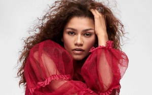 Zendaya's Fans Slam Publication for Dubbing Her Emmy Win 'Biggest Upset'