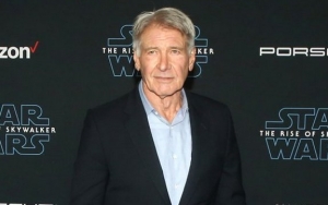 Harrison Ford Escapes Penalty After FAA Investigation for Mistakenly Crossing Airport Runway 