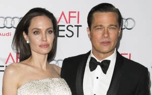 Brad Pitt to Call Angelina Jolie's 'Girl, Interrupted' Co-Star for Testimony During Custody Trial