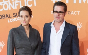 Angelina Jolie Fails to Remove Private Judge in Brad Pitt Divorce Case  