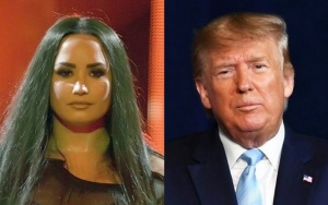 Demi Lovato Doesn't Care If Anti-Trump Song Destroys Her Career 
