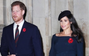 Prince Harry and Meghan Markle Release New Portrait Before He Returns to U.K.