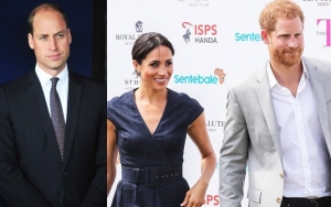 Prince William Isn't Happy With Harry and Meghan Markle's 'Prima Donna Manoeuvres' About Son's Birth