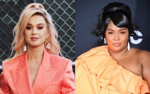 Katy Perry Dresses as 'I Voted' Sticker, Lizzo Gets Nude to Urge Fans to Vote