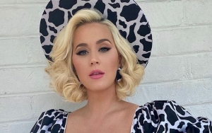 Katy Perry Faces Backlash for Consoling Family Members Who Support Donald Trump