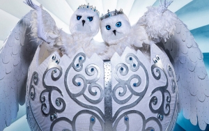 'The Masked Singer' Recap: The Snow Owls Are Revealed to Be Country Music Couple