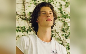 Shawn Mendes Grateful Lockdown Forced Him to Take a Break From Hectic Schedule