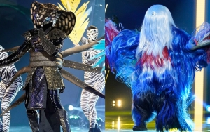 'Masked Singer' Recap: Serpent and Whatchamacallit Sent Home in Double Elimination
