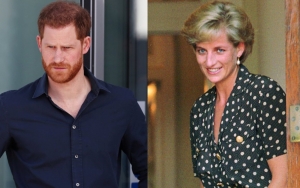 Report: Prince Harry Reacts to Accusations of Him Not Protecting Princess Diana's Legacy