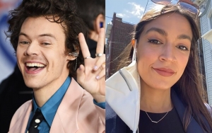 Harry Styles Gets Alexandria Ocasio-Cortez's Support for Wearing a Dress Amid Backlash