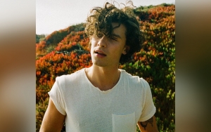 Shawn Mendes Calls New Album His 'Favorite Art'