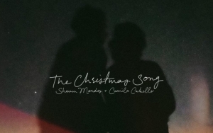 Camila Cabello and Shawn Mendes Surprise With 'The Christmas Song' Release for Good Cause