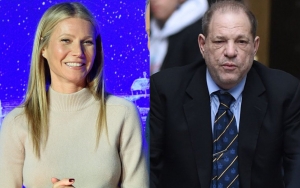 Gwyneth Paltrow Blames Public Scrutiny and 'Rough' Harvey Weinstein for Lost Interest in Acting