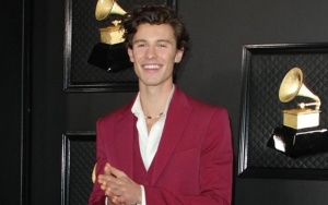 Shawn Mendes Almost Quit Music During Meltdown This Year