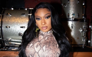 Megan Thee Stallion's Alleged Sister Blasts Her for Neglecting Family