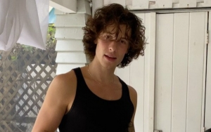 Shawn Mendes Dealing With 'Frustrating' Gay Rumors Since He's a Teen