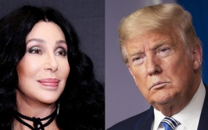 Cher Hopes 'Vindictive' Donald Trump Gets Prosecuted and Jailed Post-Presidency