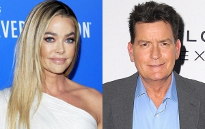Denise Richards Blames Her Declining Career on Charlie Sheen Divorce