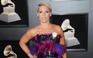 Pink Lands in Hospital After Fracturing Her Ankle