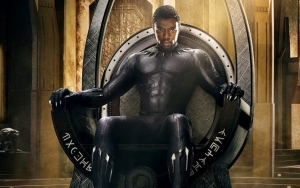 Chadwick Boseman Recorded Numerous Episodes of New Disney Series as Black Panther