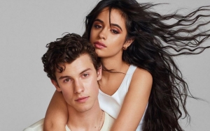 Camila Cabello and Shawn Mendes Share Steamy Christmas Pic: 'Thank You Santa'