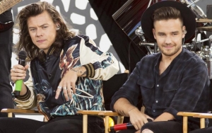 Liam Payne Comes to Harry Styles' Defense Following Criticisms Over His Feminine Style