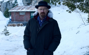 Bryan Cranston Credits 'Malcolm in the Middle' Cancellation for 'Breaking Bad' Role